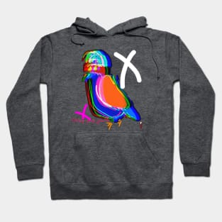 COcO + eARtH BirD Hoodie